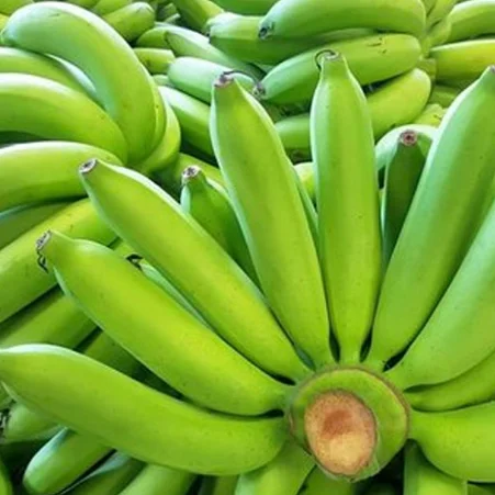 Fresh Cavendish Banana Banana Daun Pisang Monk Fruit Fresh Kiwi Fruit