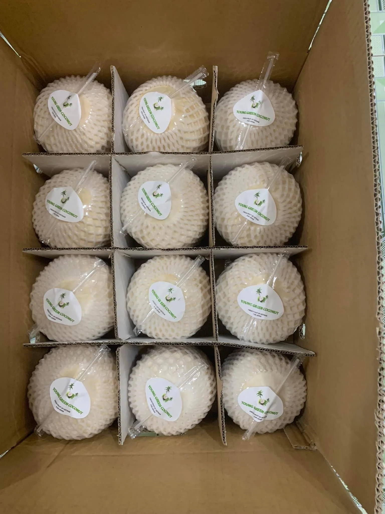 Fresh Young Coconut Water From Vietnam | Tropical Fresh Fruit From Vietnam | V.A.F Vietnam Agriculture Food
