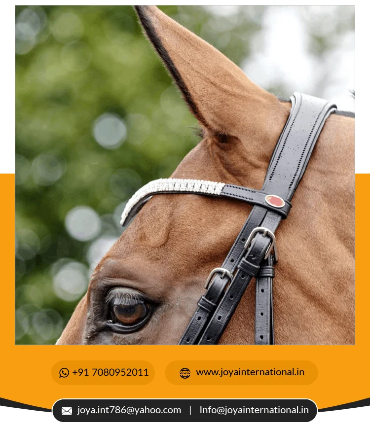 English Horse Bridles for Sale  Snaffle Bridle With 2 Browbands Horse Bridles for Sale From India multifunctional