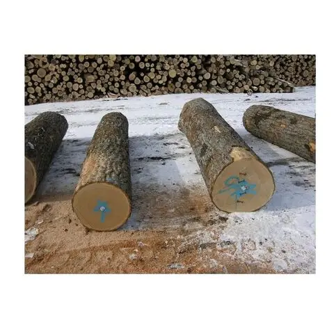 Timber Wood Logs / Sandal Wood / Ash Wood Ebony Beech Wood Timber Sawn Timber Birch Wood Log Teak Round Logs Wood Logs