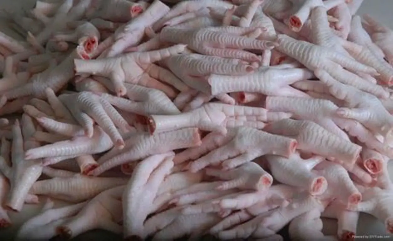 chicken_feet_3.jpg