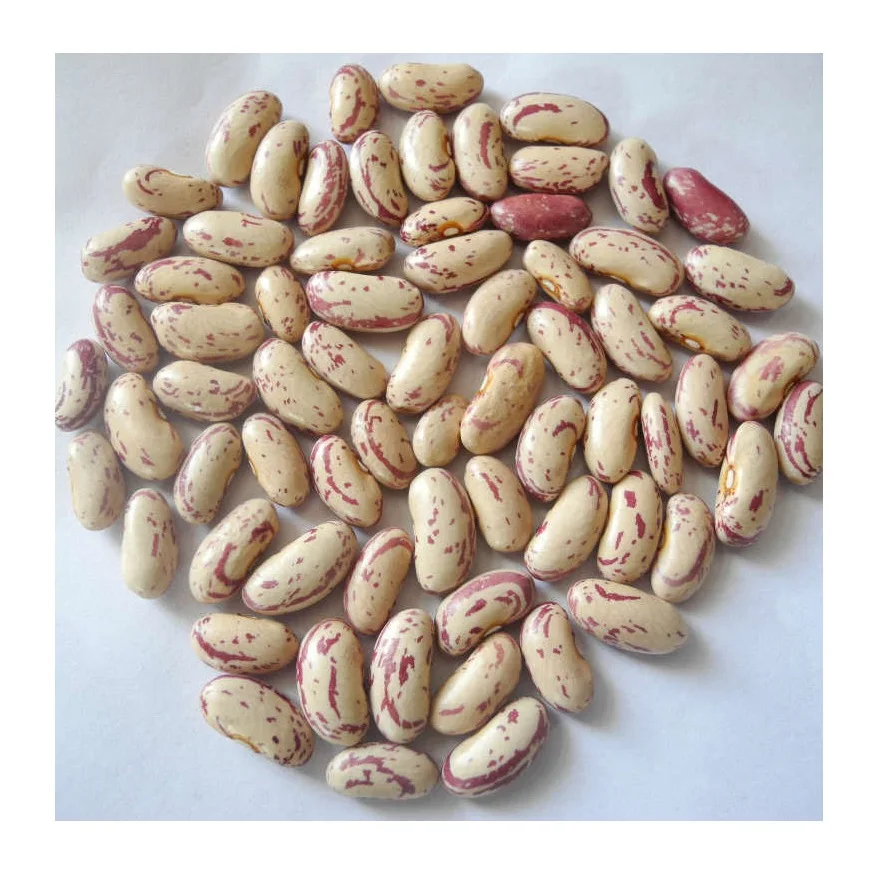 Dried Pinto Bean Best Price Light Speckled Kidney Beans