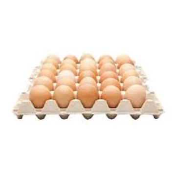 Fertile Fresh chicken Eggs Table Eggs Available In Bulk