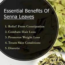 Raw Herb Senna Leaf Powder With Premium Quality Packaging For Longer Shelf Life