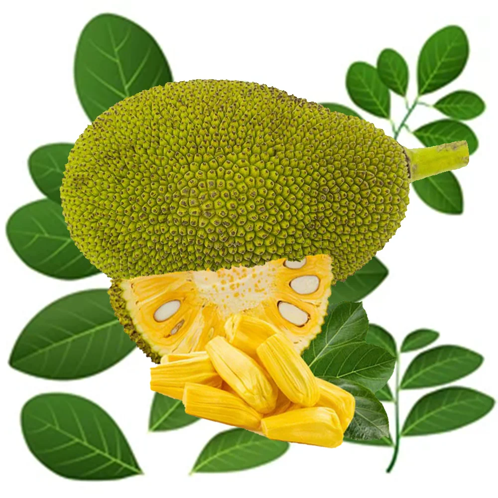 New 2022 Season Frozen Jackfruit Organic Fresh Fruit Good Sweet International Quality with Good Price 0084-903 839 617