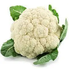 High Quality & pure 100% Natural and Organic Factory  Cauli flower  powder Manufacture  low price sales in India