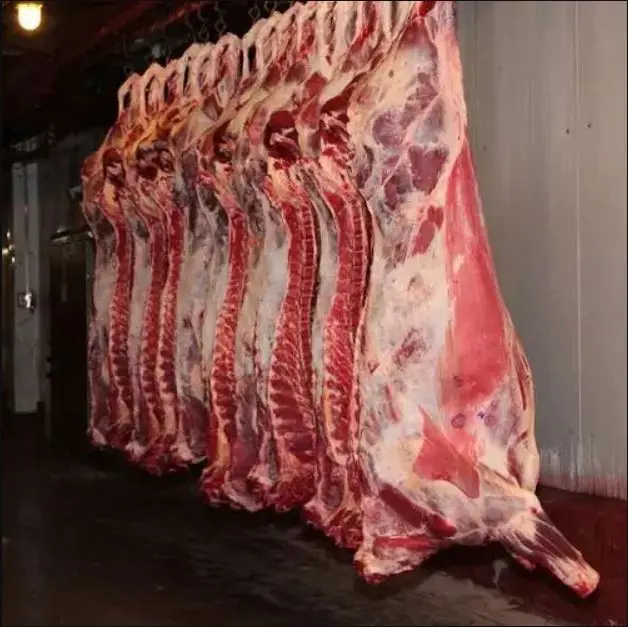 Quality Halal Frozen Beef Meat Halal Beef Buffalo For Sale