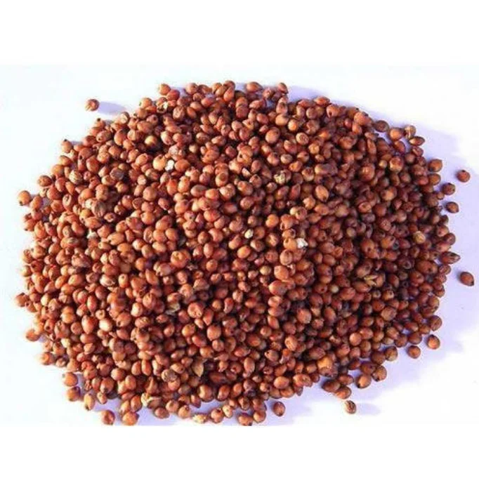 Wholesale Seeds Of Grain Sorghum Bulk Red and White Sorghum