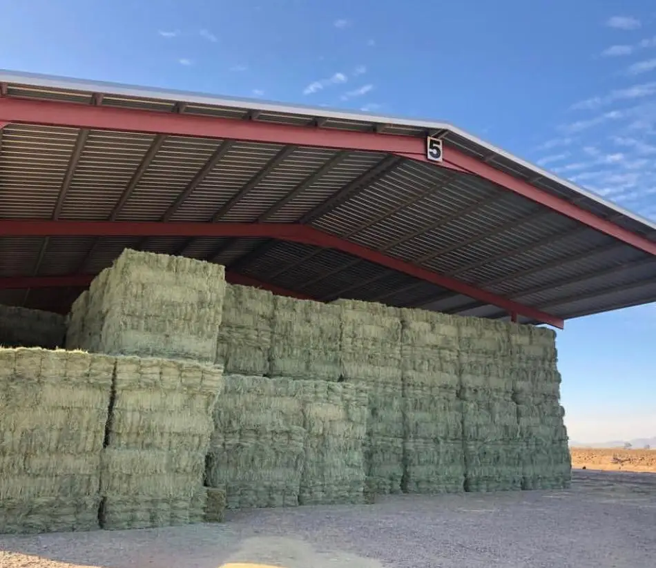 Alfalfa Hay for Animal Feed at wholesale price Alfalfa Hay