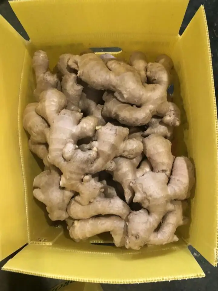 VIETNAM AIR DRY GINGER FOR WHOLESALE  CONTACT +84984418844 whatsapp