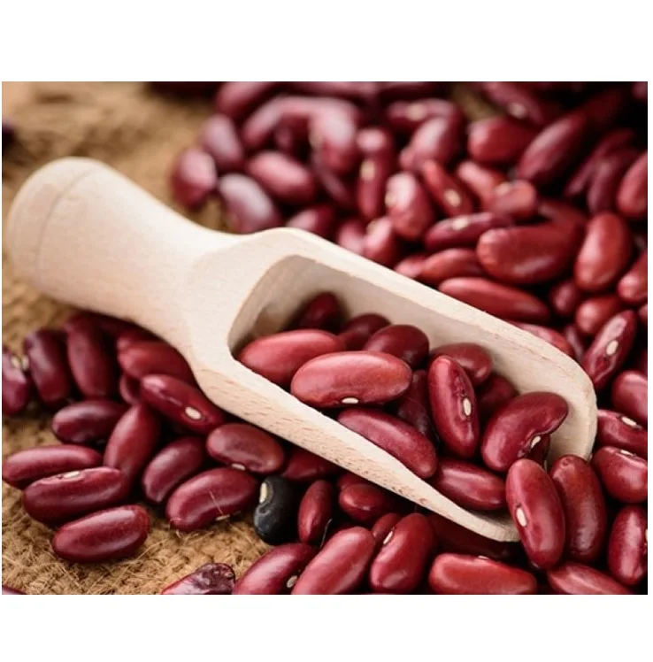 canned red kidney beans in brine with good quality for whole world