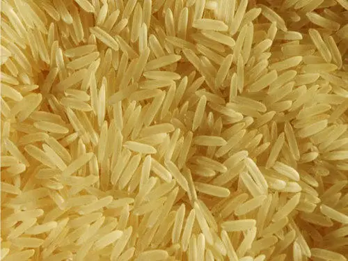 1121 Basmati golden Rice