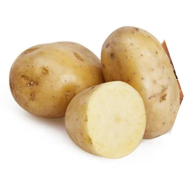 New Harvest Fresh Potatoes Exporters fresh potatoes Popular vegetable fresh potato wholesale price FOR SALE