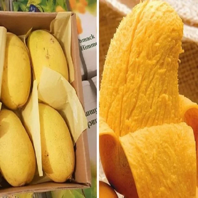 High Quality Globally Selling Fresh Mango From Pakistan to All Yellow Tropical August Style Time Packing Mature Organic Color
