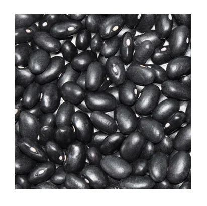 High Quality Organic Wholesale Price Red Bulk Dried Black Kidney Beans Hot Selling Price Of Black Kidney Beans in Bulk