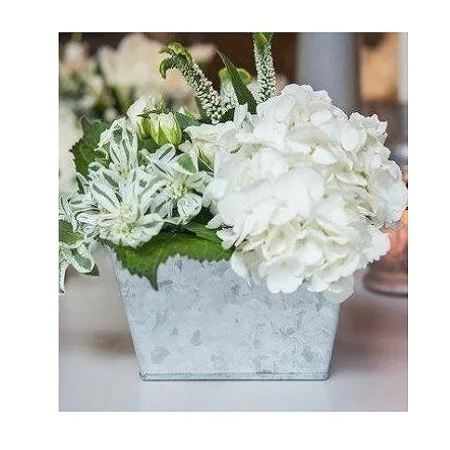Newest Design Galvanized Plants Planter Customized Size and Shape Tin Planter at Reasonable Price Planter