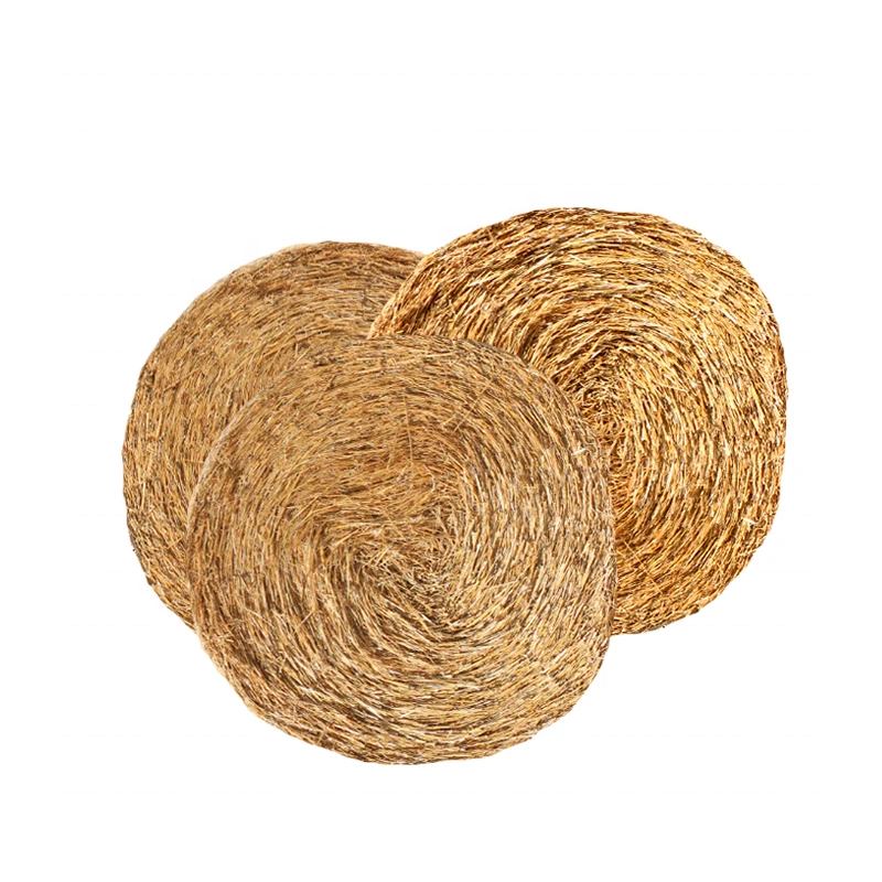 A+ Grade Quality Yellow wheat straw hay mushroom For Animal Feed from Pakistan worldwide organic Feed