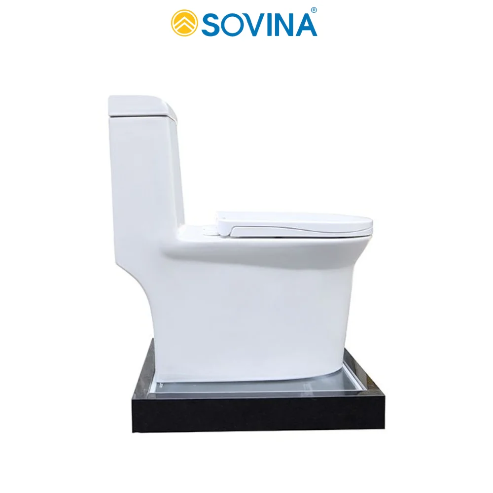 Hot Price One-Piece Modern Ceramic Toilet Seat with Smart Mechanical Cover Floor Bowl Shape P-Trap Drainage 1003 Model