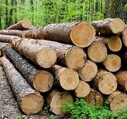 Timber LOGS.0019.jpg