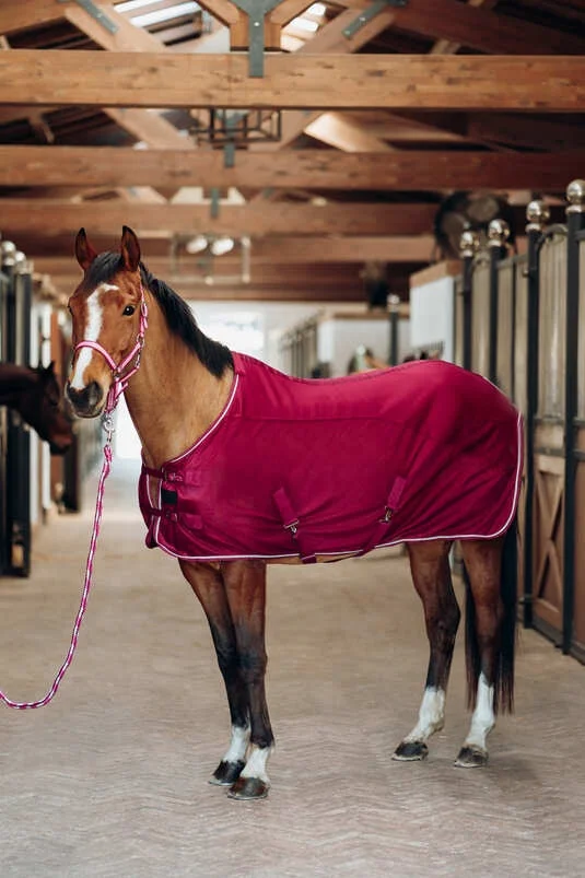 Professionals Choice Equestrian Equine Winter Horse Rug Breathable Summer Mesh Customizable Design Double Waterproof Fabric
