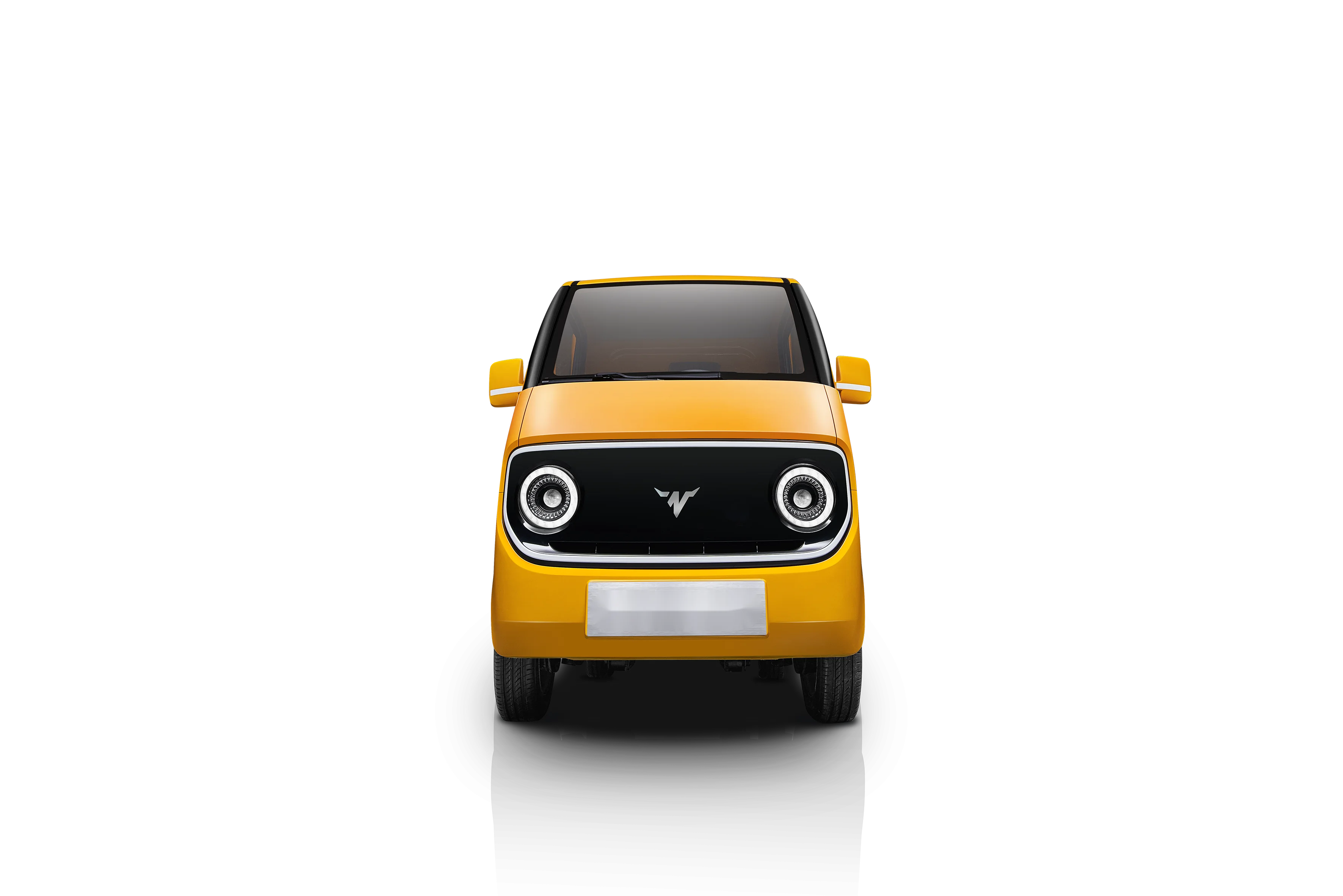 Electric Van with EEC Certification for New Energy/Electric truck