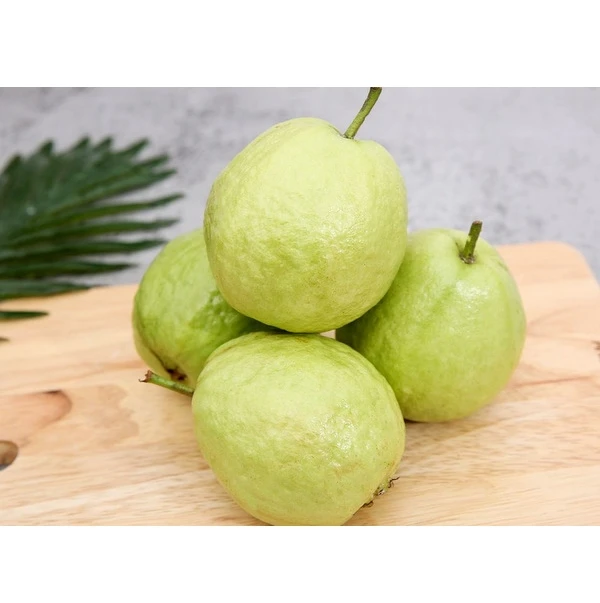 Fresh Fruit High Quality Fresh Guava Competitive Price To Buy Wholesale From Vietnam In 2023