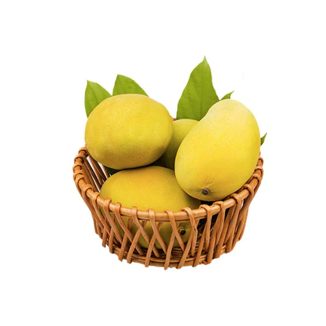 Fresh Mango 100% natural  from Vietnam with good price and best quality 2023 Cheap Price Fresh Fruit