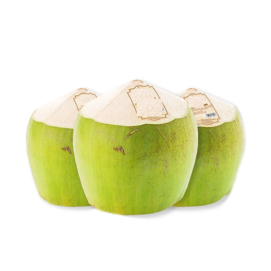 Low Price Young Coconut Pulp and Shell Part Hat Cut Shape Coconut Fresh Young Coconut Without Top Cover Exporter from Vietnam
