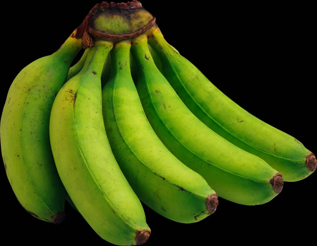 Wholesale Fresh Cavendish Bananas Delicious Flavour and Good Quality at Competitive Price Direct from Vietnam