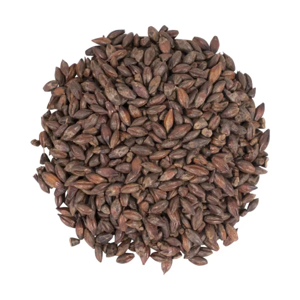 Natural Raw Barley / Malt /Human Consumption / Animal Feed / Fodder / German origin At Reasonable Price