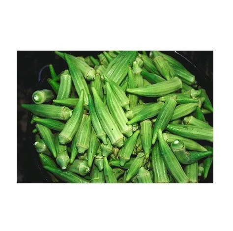 Лучшая заводская цена на натуральные свежие овощи Okra доступно в большом количестве