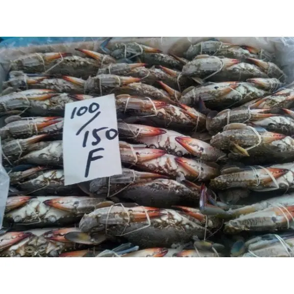 Frozen Crab/Bulk Quantity Frozen Blue Swimming Crab Three Spotted Crab Available