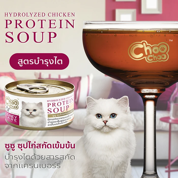 High Quality Choo Choo Hydrolyzed Chicken Protein Soup Besides Having Amino Peptides Protein