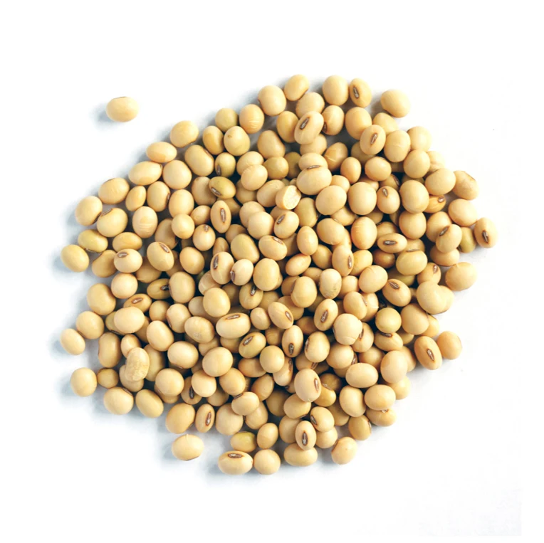 NON GMO Soybean Available for Cheap Price / High Quality Soybean/Soya Bean - Soybean Seeds