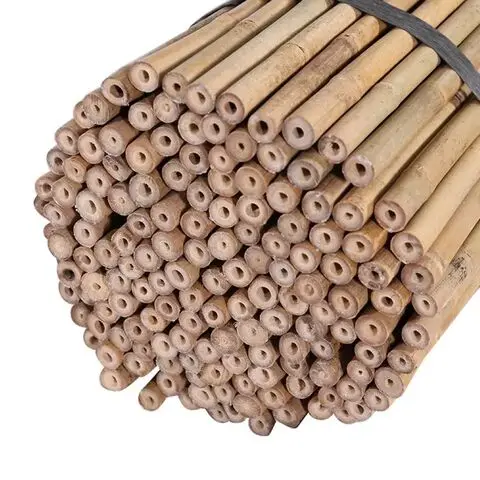 Agriculture/Bamboo Raw Materials/Bamboo pole use for tree nurseries