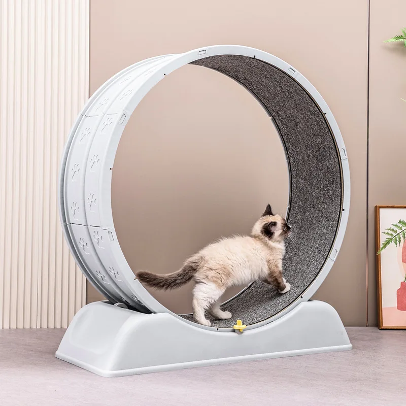 Interactive Pet Toys Cat Silent Sport Treadmill Cat Climbing Frame Wheel Exercise Running Wheel with Solar Energy and Counters