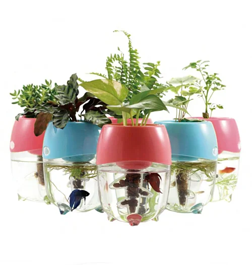 922 Aquarium