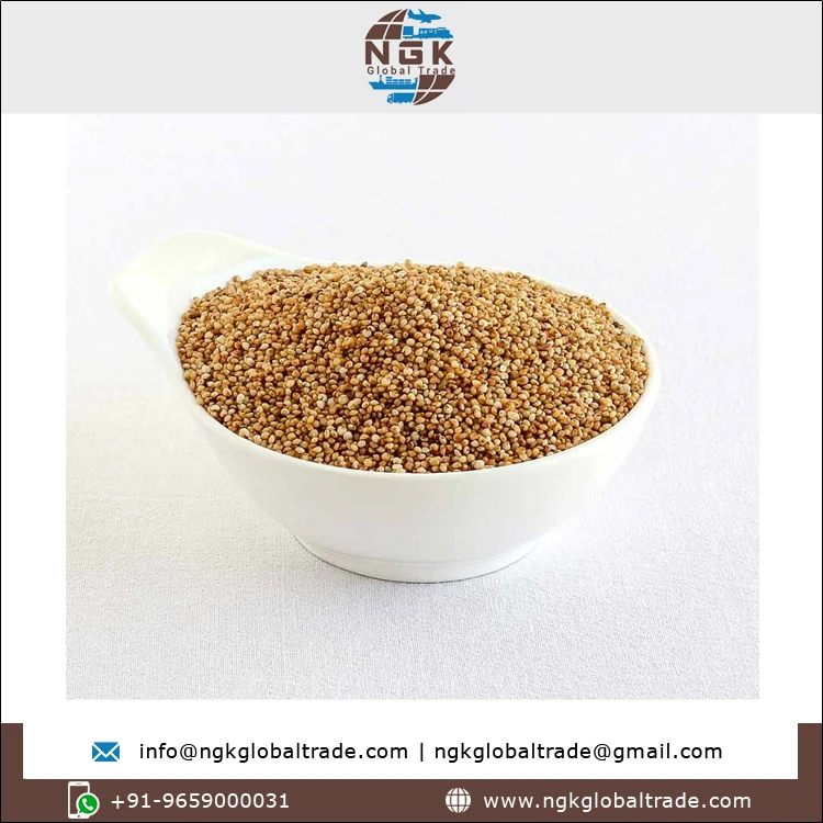 Best Buy Bulk Quantity High Quality Natural Taste Agriculture Grain 100% Pure Kodo Millet for Wholesale Buyers