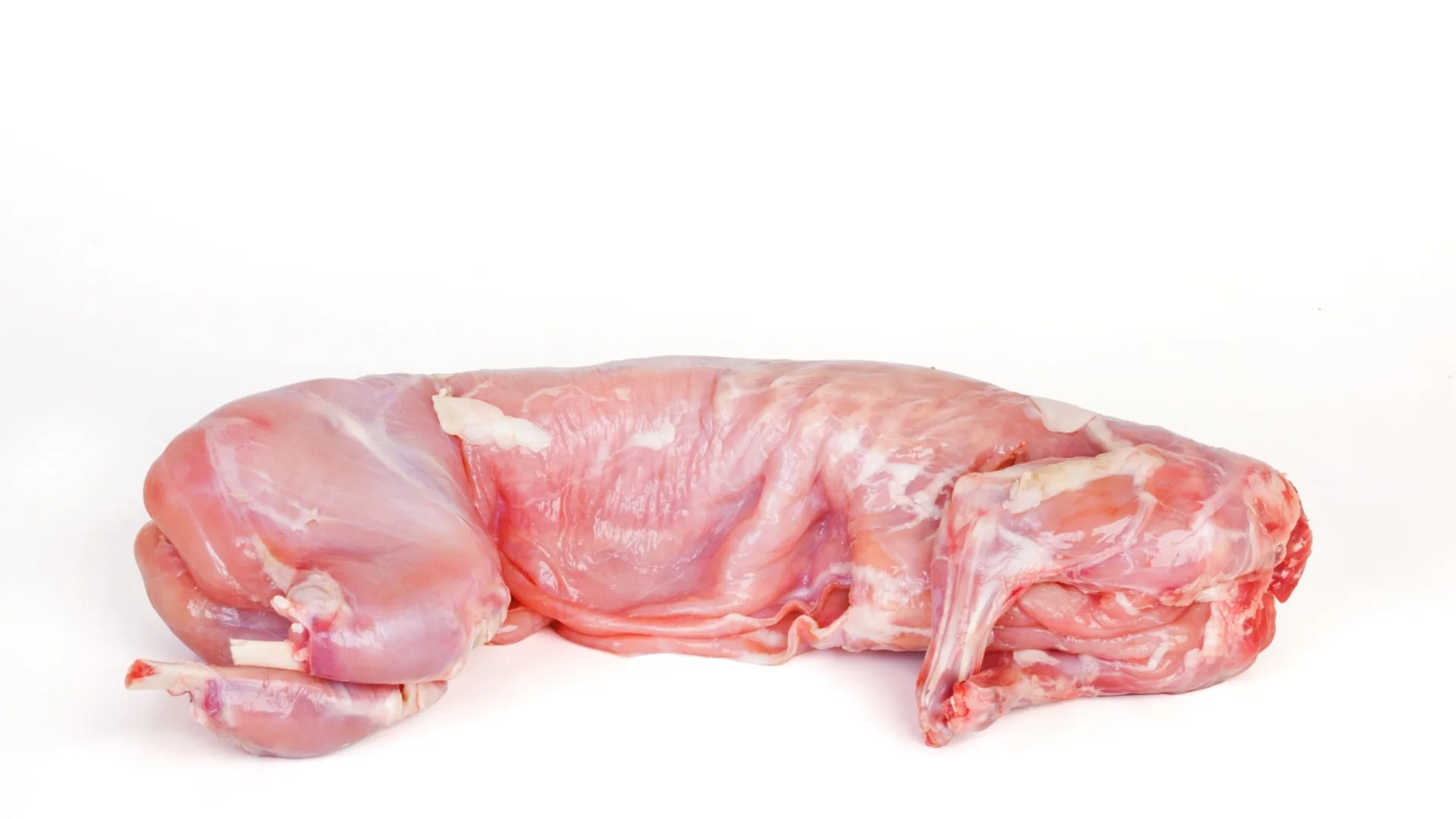 Organic Frozen Whole Rabbit Meat Low-fat Luncheon Meat Frozen rabbit bone carcass Frozen Rabbit Meat and Parts