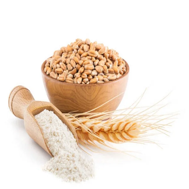 high quality Wheat Grain,Soft ,Milling Wheat, Durum Wheat