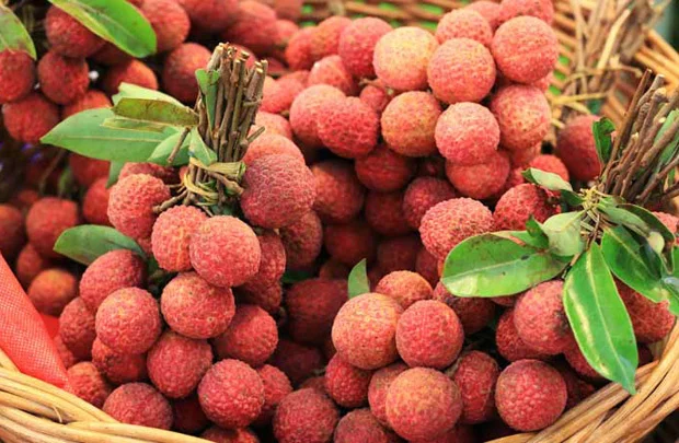 Fresh Lychee Grade 1 | Vietnam Lychee
