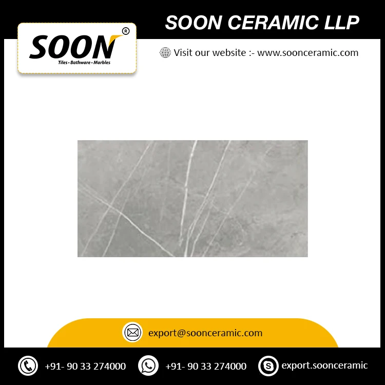 Direct Factory Supply 300x600mm Porcelain Tiles for Indoor and Outdoor Wall Decoration Amaze Lux Wall Tiles