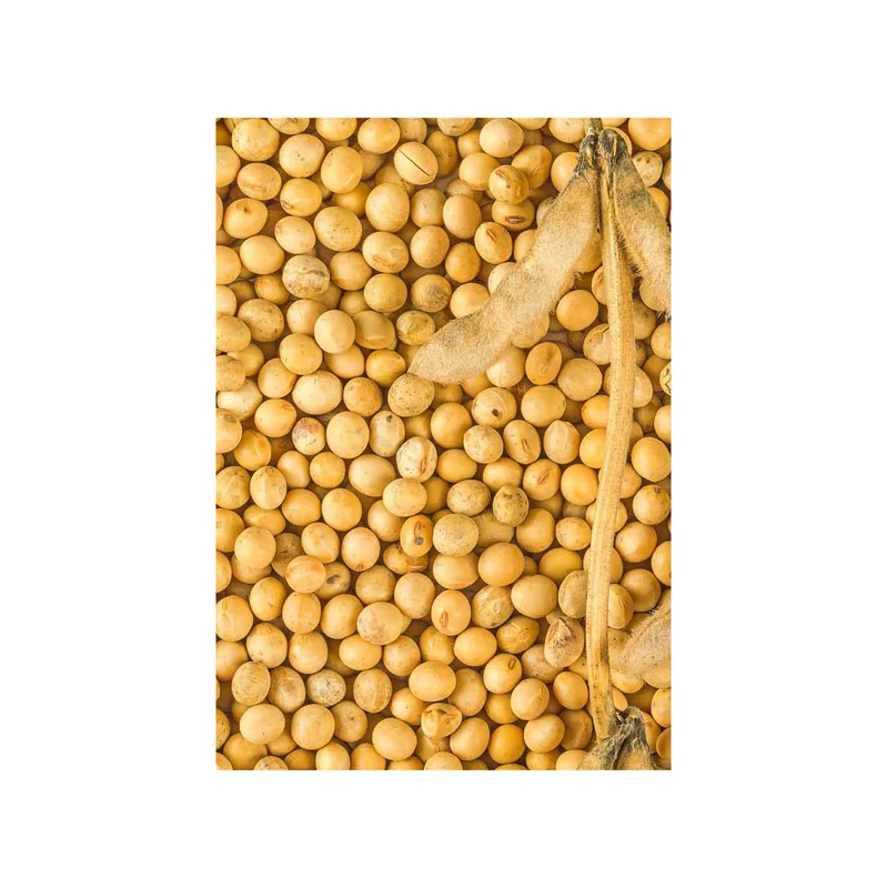 Лучшее качество Non GMO поставщик сои