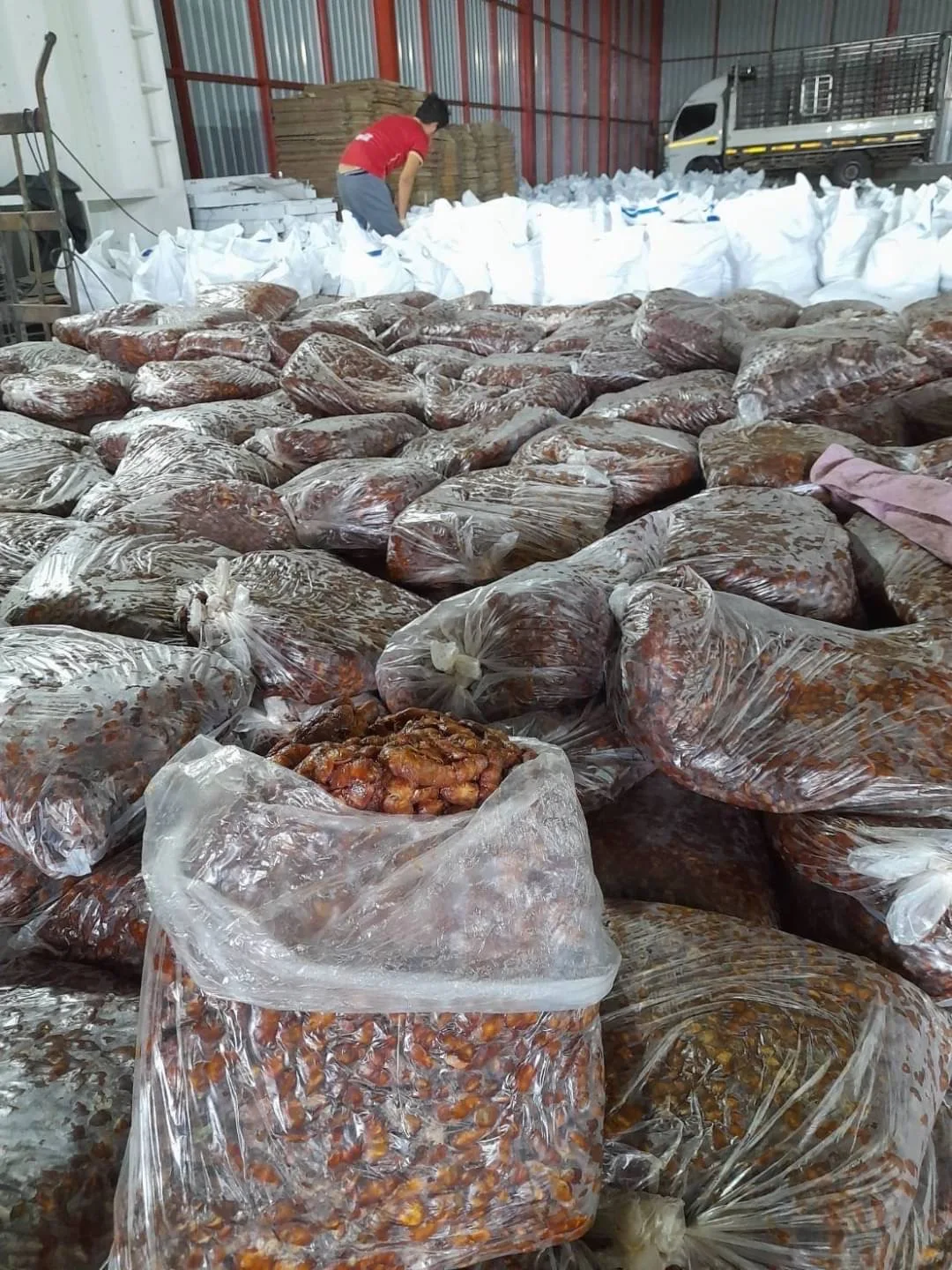 Seedless Sour Tamarind from Thailand 100% Natural Premium Grade of Seedless Sour Tamarind with Best Taste