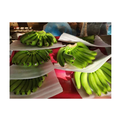 Fresh Premium Green Yellow Bananas - High Quality Best Price Cavendish Banana Directly From Producers In Vietnam