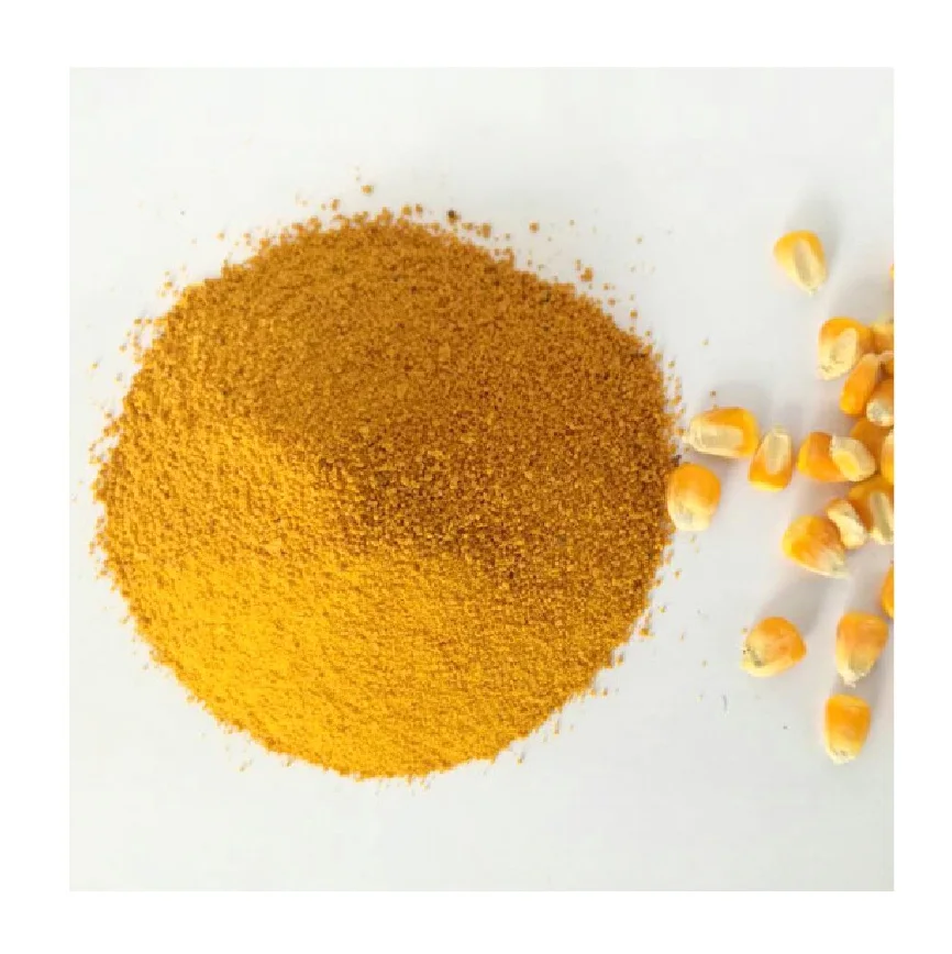 Corn gluten meal/ Yellow Corn Maize Grains for Animal Feed wholesale price