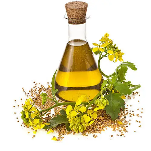 COOKING REFINED RAPESEED OIL BULK SUPPLIERS