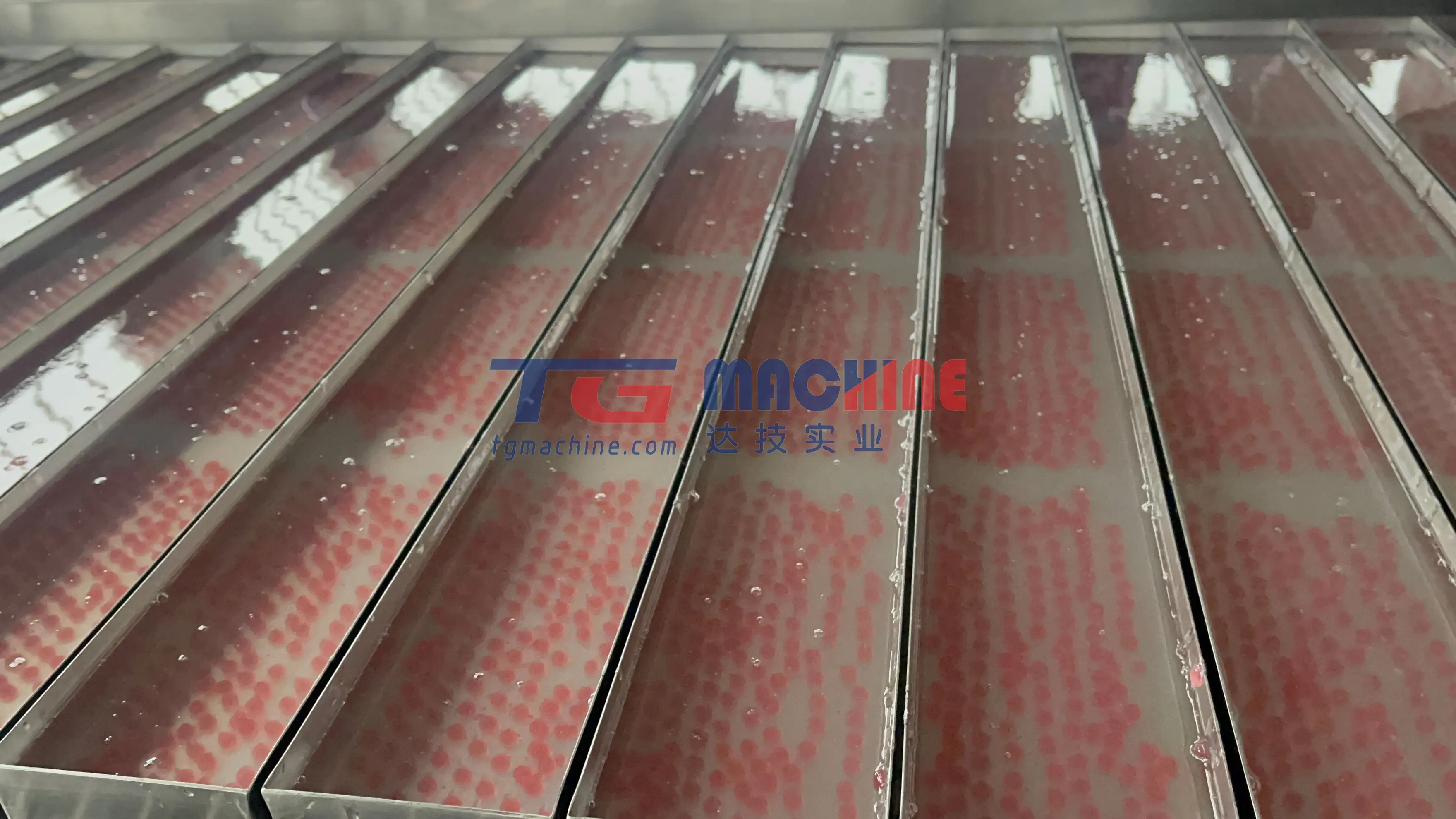 TGP200 Fully Automatic 200kg/h Boba and Bubble Tea Making Machine with Ingredients