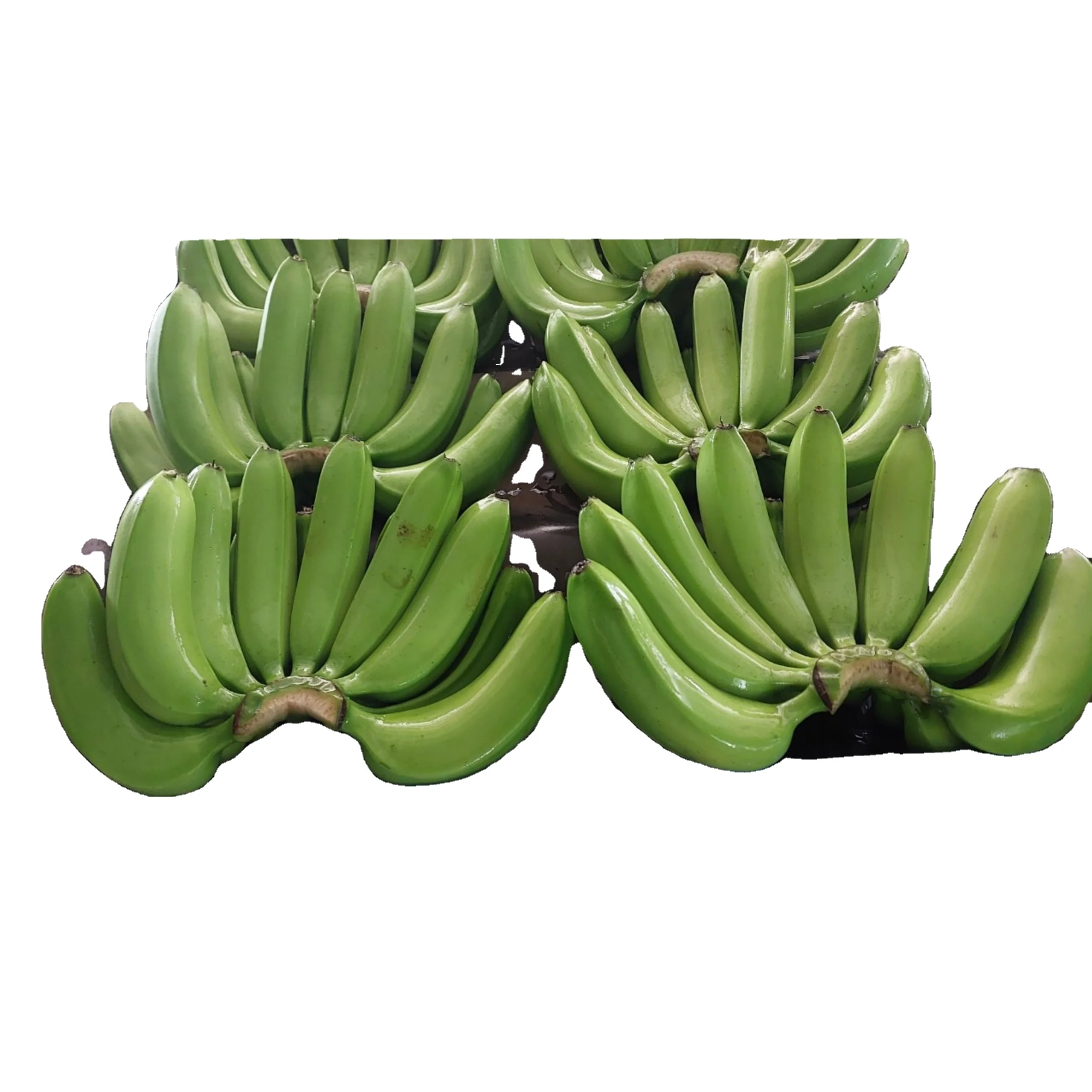 Вьетнамские свежие бананы cavendish, высокое качество, экспортируется в Китай, Корею и Малайзию