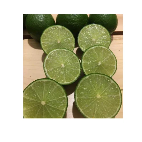 Fresh Premium Persian Lime - Top Quality, Best Price, Directly From Producers In Vietnam